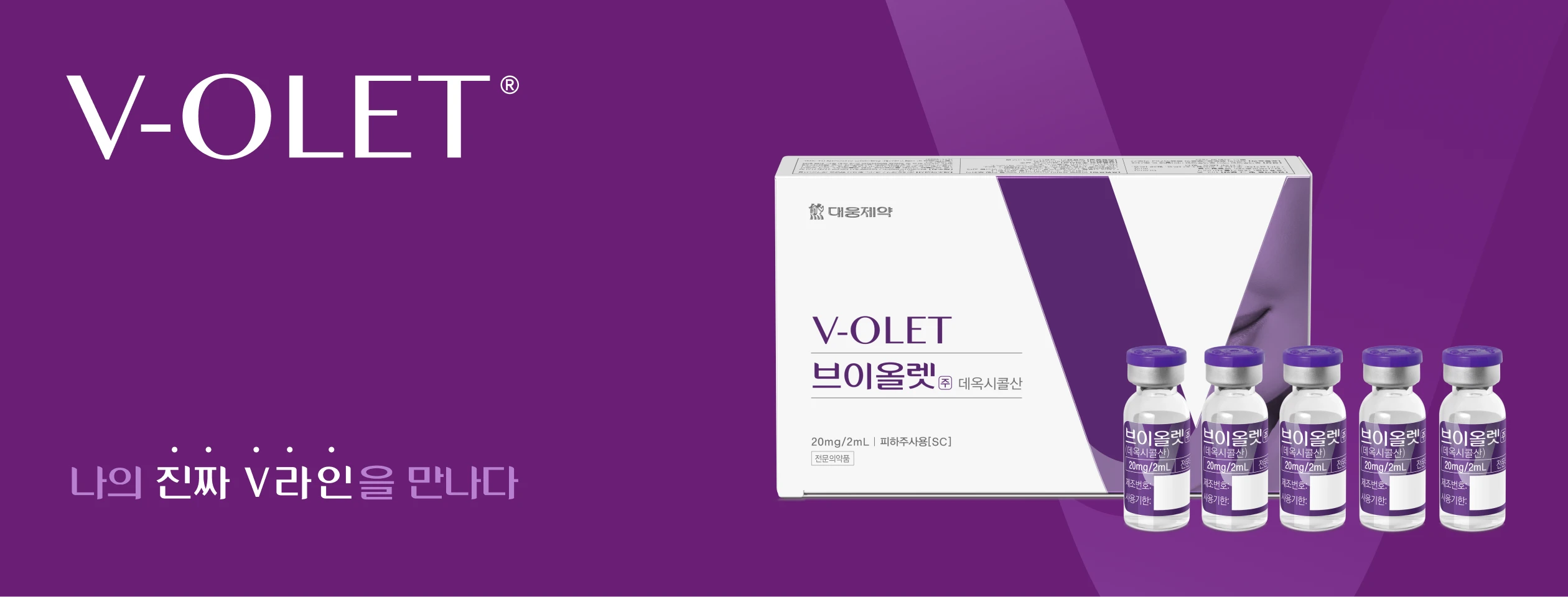 V-Olet 브이올렛