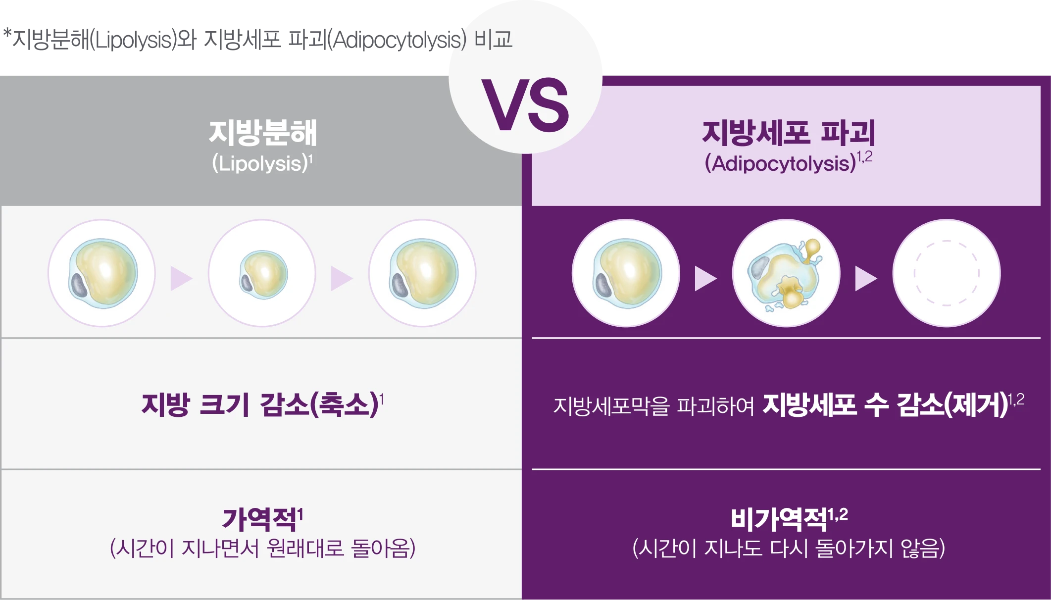 지방분해와 지방세포 파괴 비교